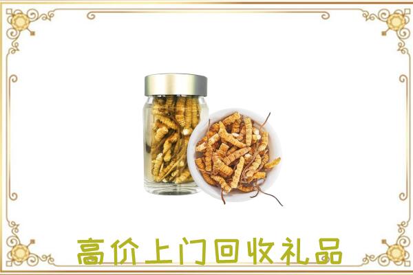 武强县周边回收虫草